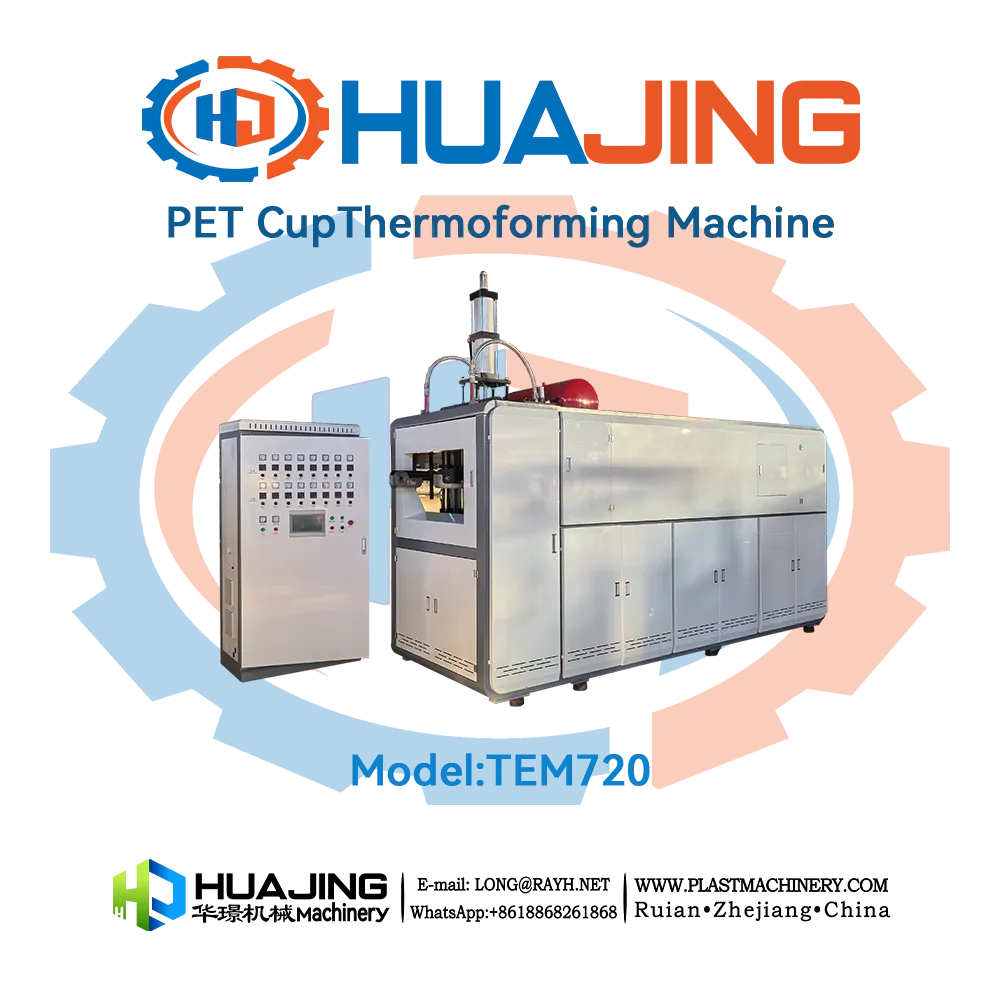 <strong>10oz PET Cup Thermoforming Machine</strong>